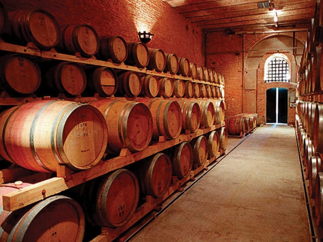 MENDOZA Bodegas y Olivas