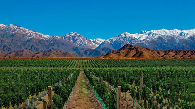 MENDOZA  Valle de Uco