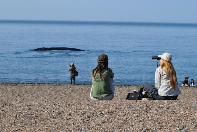 PUERTO MADRYN Excursi�n Doradillo Adventure con Almuerzo Campestre o Merienda