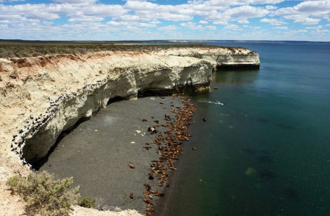 PUERTO MADRYN - Excursi�n Cerro Avanzado Adventure