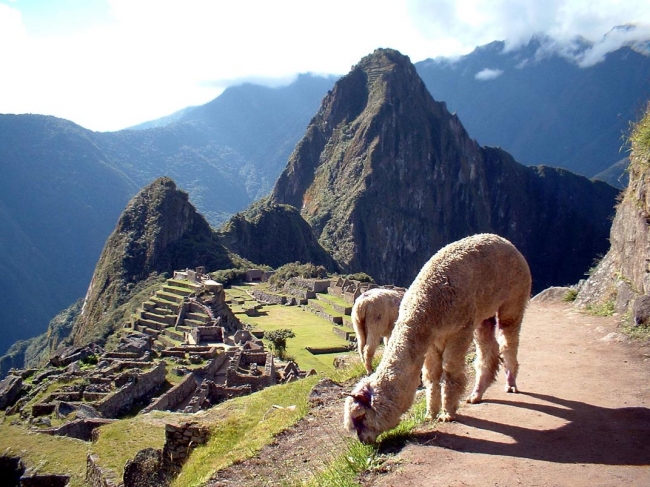 AMANECERES DEL INCA (LIM)