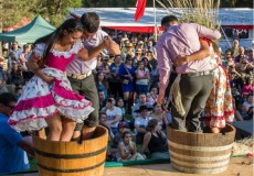 Mendoza con Vendimia desde Rosario y zona en Bus 27 de Febrero 