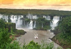 Cataratas Feriado 1 de Mayo desde Rosario y zona en Bus