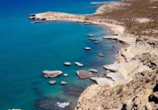 Puerto Madryn Peninsula Valdes en Bus desde Cordoba y zona en Septiembre 