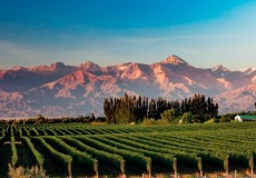 San Juan con encanto y Mendoza Combinado Bus Areo en febrero y marzo