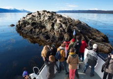 Ushuaia  Navegacion Isla de Lobos y Pajaros 