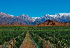 MENDOZA  Valle de Uco