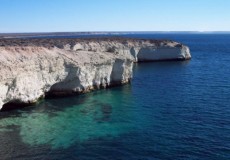 PUERTO MADRYN Excursi�n Full Day Pen�nsula de Vald�s (sur)