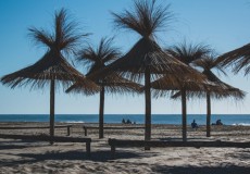 Pinamar desde Rosario y zona en Bus Enero y Febrero