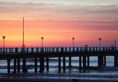 Mar del Plata desde Rosario y zona en Bus Enero 7 noches