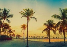Orlando a Miami 7 Noches (Clarion Inn LBV - The Mimosa Hotel)