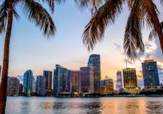 MIAMI BSICO - 5 Noches The Mimosa Hotel