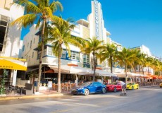 MIAMI BSICO - 5 Noches The Mimosa Hotel