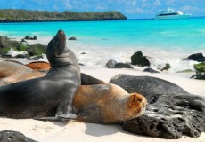 ISLAS GALPAGOS 4 DAS