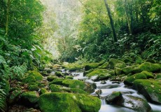 COSTA RICA 07 NOCHES - EcoTico Spa & Territorio Salvaje