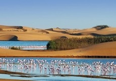 NAMIBIA FASCINANTE Y DESIERTO DE KALAHARI