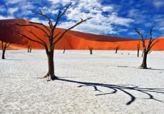 NAMIBIA FASCINANTE Y DESIERTO DE KALAHARI