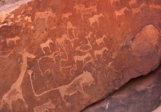 NAMIBIA FASCINANTE Y DESIERTO DE KALAHARI