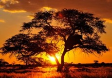 NAMIBIA FASCINANTE Y DESIERTO DE KALAHARI