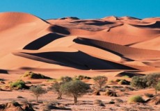 NAMIBIA FASCINANTE Y DESIERTO DE KALAHARI