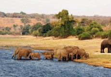 SUDFRICA EN RESERVA PRIVADA Y CATARATAS VICTORIA (ZAMBIA) CON CHOBE