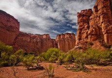 Talampaya y Valle de la Luna - salidas  agosto, septiembre y octubre