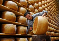 Viaje a nuestros Origenes Italia con visita a Piamonte