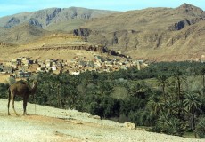 MARRUECOS, MAR DE DUNAS